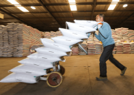 县供销社：农资配送到田头  农户夏种更方便