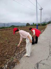 擂鼓镇：推进人居环境整治  共建洁净美丽擂鼓