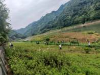 官渡镇：美化人居环境 打造洁净家园