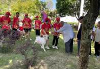 上庸镇：龙舟赛获奖五只羊 爱心捐给监测户