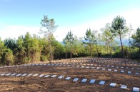 擂鼓镇：深化殡葬改革 弘扬时代新风