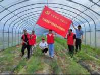 县蔬菜产业发展中心开展农业田间实践暨送科技下乡活动