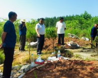 擂鼓镇：殡葬改革塑造文明乡风