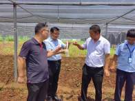 县公共检验检测中心：加大抽检力度  保障舌尖安全