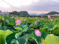 擂鼓镇：澄清正名让干部“轻装上阵”