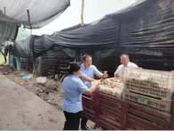 县蔬菜中心推动本地香菇进商超