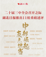 合集丨湖北日报《中部崛起  支点担当》11组系列述评