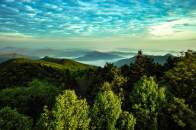 县文旅局获市“八五”普法表现突出单位