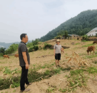 上庸镇财政所：发挥财政力量 助力乡村经济