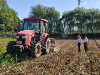 五措并举促油菜扩面提质