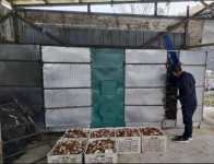 县蔬菜中心落实“三大行动” 筑牢安全生产底线