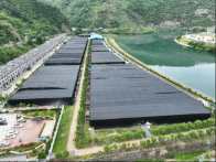 我县食用菌新增1家省级重点龙头企业