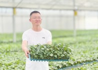 92%成活率+600万元增收——黄梅这家育苗工厂如何跻身全省前三？