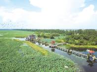 一粒良种“藕”遇“芯”生——汉川莲藕种业创新助推产业跃升