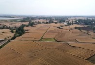 农机奔忙、颗粒归仓！这就是“襄阳熟、湖北足”的底气