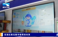 在湖北看见数字教育的未来