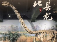 不用挤省博，这些镇馆之宝也很香！