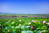 这道考题，荆州这样作答！