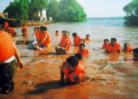 石首调关镇：惊涛已成稻浪