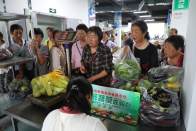 供销社搭台拓销路　菜农解忧稳收益