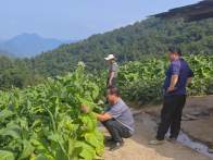 官渡镇扎实开展“户户走到”  护航群众生产生活安全