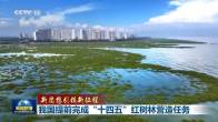 【新思想引领新征程】我国提前完成“十四五”红树林营造任务