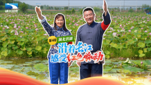 红色脉动洪湖