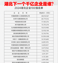 湖北下一个千亿企业是谁？