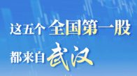 敢投创新的种子、营造成长的生态，5只行业第一股出自武汉