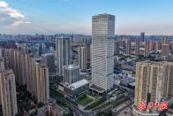 两“链主”企业织就千亿经济带，龙阳湖畔：万余民企环湖生长