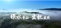 4269平方公里，习近平关切这个绿色“国宝”