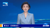看支点·区域联动力丨一个“金三角”的跃进