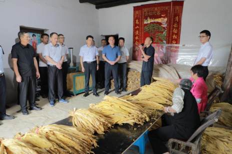 我县召开烟叶生产“精进提质” 管理现场会