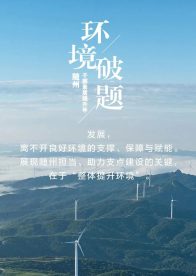 净环境、优服务、清风气！ “三招” 破解发展难题，随州气场全开