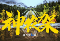 全国生态日丨神农架：91.16%森林覆盖率背后的生态答卷