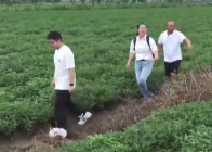 科产“恋爱”记丨支点人物：科技“红娘”张向向的三件“宝贝”