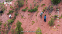 他们吊在垂直峭壁上爆改荒山