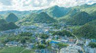 “两山”转化看鹤峰：82万亩“生态珍宝”香飘海外 村民增收笑满颜