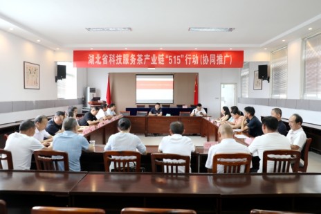 省专家组来我县开展茶产业链“515”行动科技服务