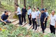 常回家看看——竹山县委统战部服务“楚商回乡”侧记