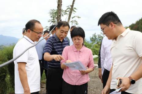 省林业局副局长王草草来竹调研林业工作