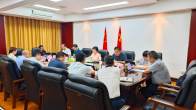 县政府常务会研究当前重点工作