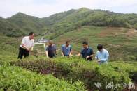 竹山縣開啟“湖北人才周”系列活動(dòng)