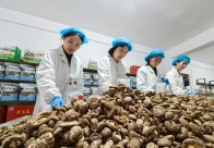 神农昕航公司：签百万订单 供中秋好货