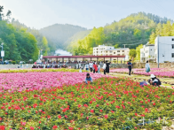 文脉活了，商圈火了！十堰这两地藏着什么流量密码？