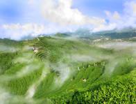 宜昌的它北上，首站为何是这里