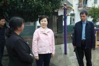 王麗媛到西片鄉(xiāng)鎮(zhèn)調(diào)研督導(dǎo)防地災(zāi)等工作