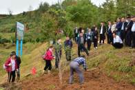 溢水镇开展油茶管护工作