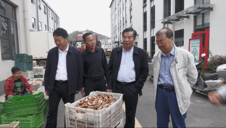 中国农业大学考察我县鲜食玉米产业发展