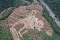 我县为受灾农户“减损护航”